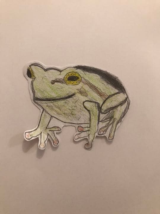 蛙の絵
