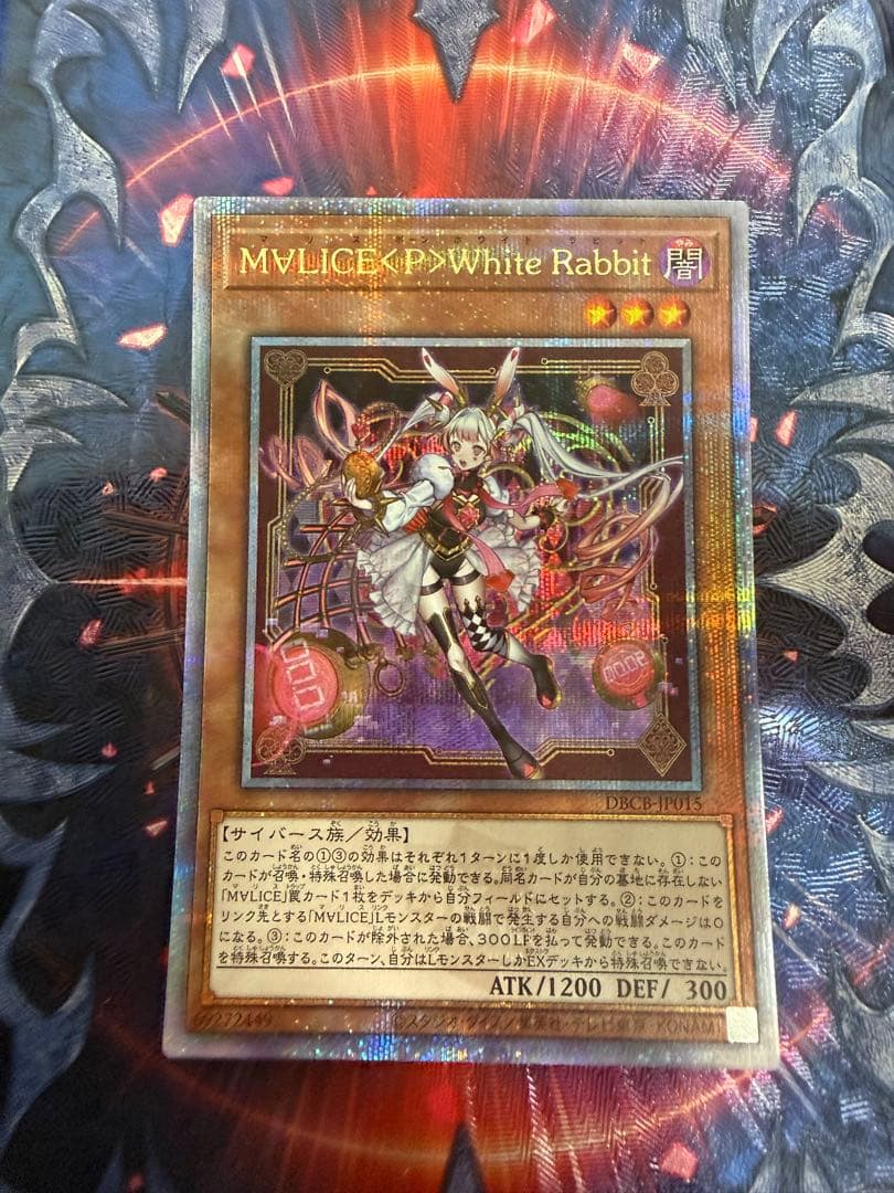 MVLICE<P>ホワイトラビット