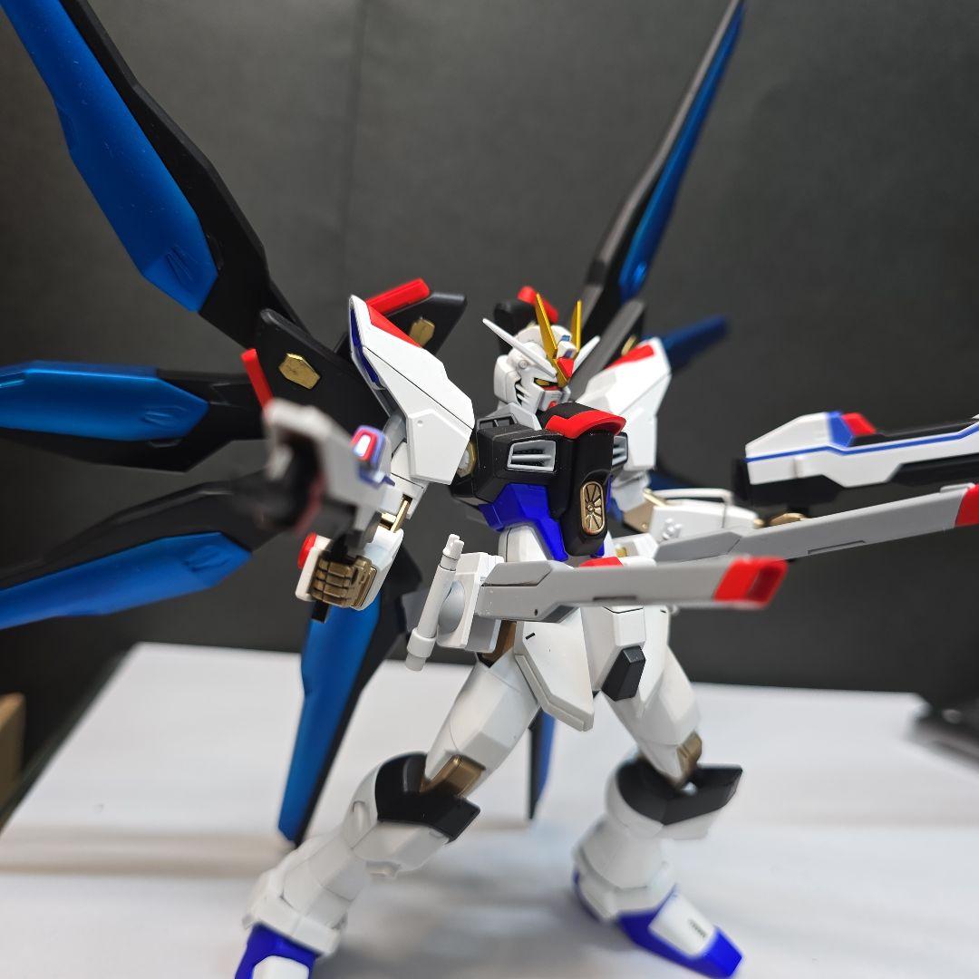 HGCE 1/144 ストライクフリーダム全塗装品　おまけ付き