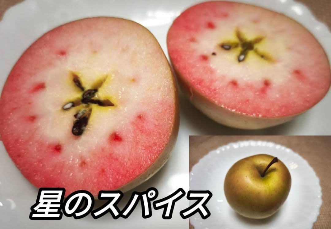 激レアりんご☆選択可【ムーンルージュ他数品種から8個】＋フジ/あいかの香り2キロ