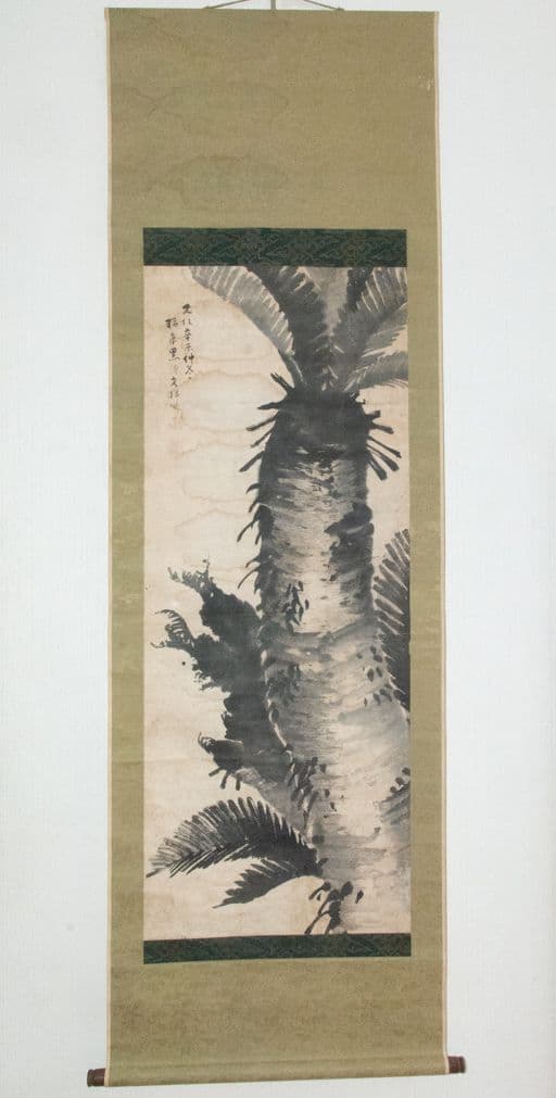 【真作】「蘇鉄」画　鳥取藩絵師　黒田稲皐 （養生箱付属）