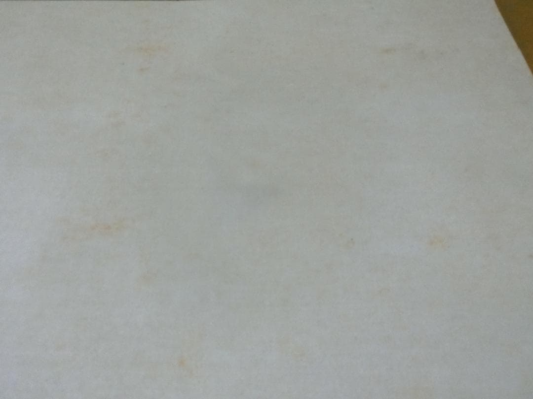 雅泉 鯉② 日本画 掛け軸