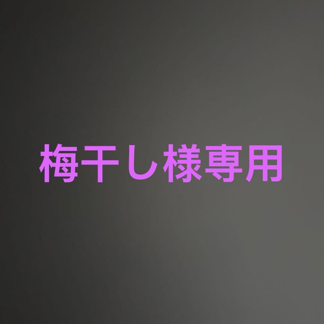 専用です。