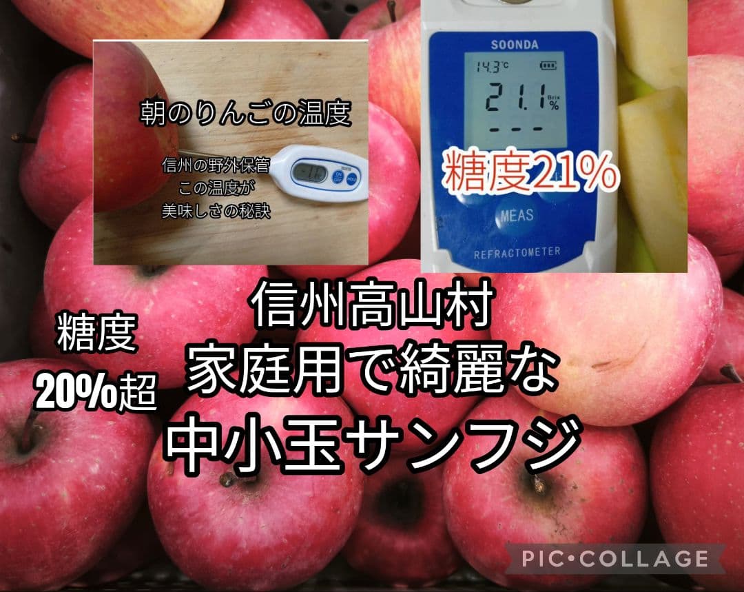 糖度21%　贈答用クラス10キロ　信州高山村産フジ