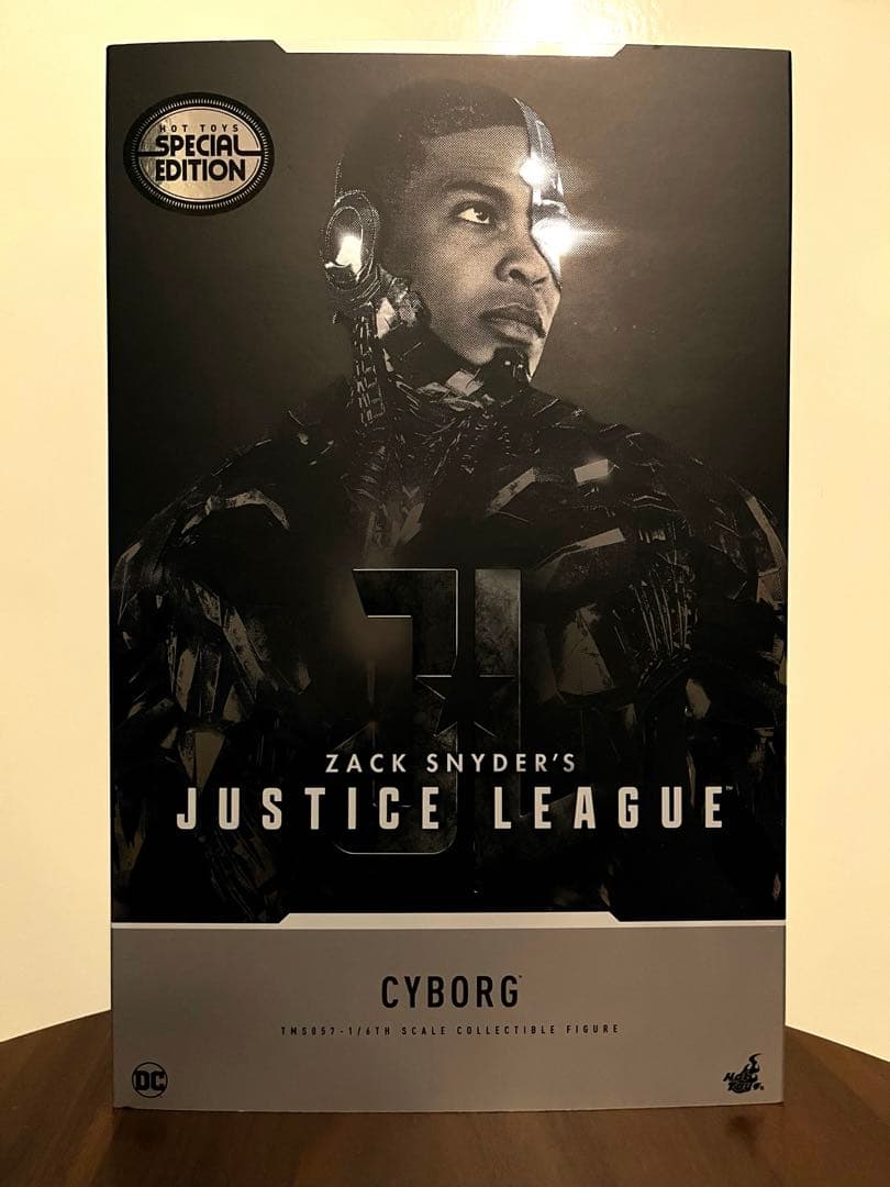 【難有り】ホットトイズ　サイボーグ　限定版　ジャスティスリーグ　スナイダーカット