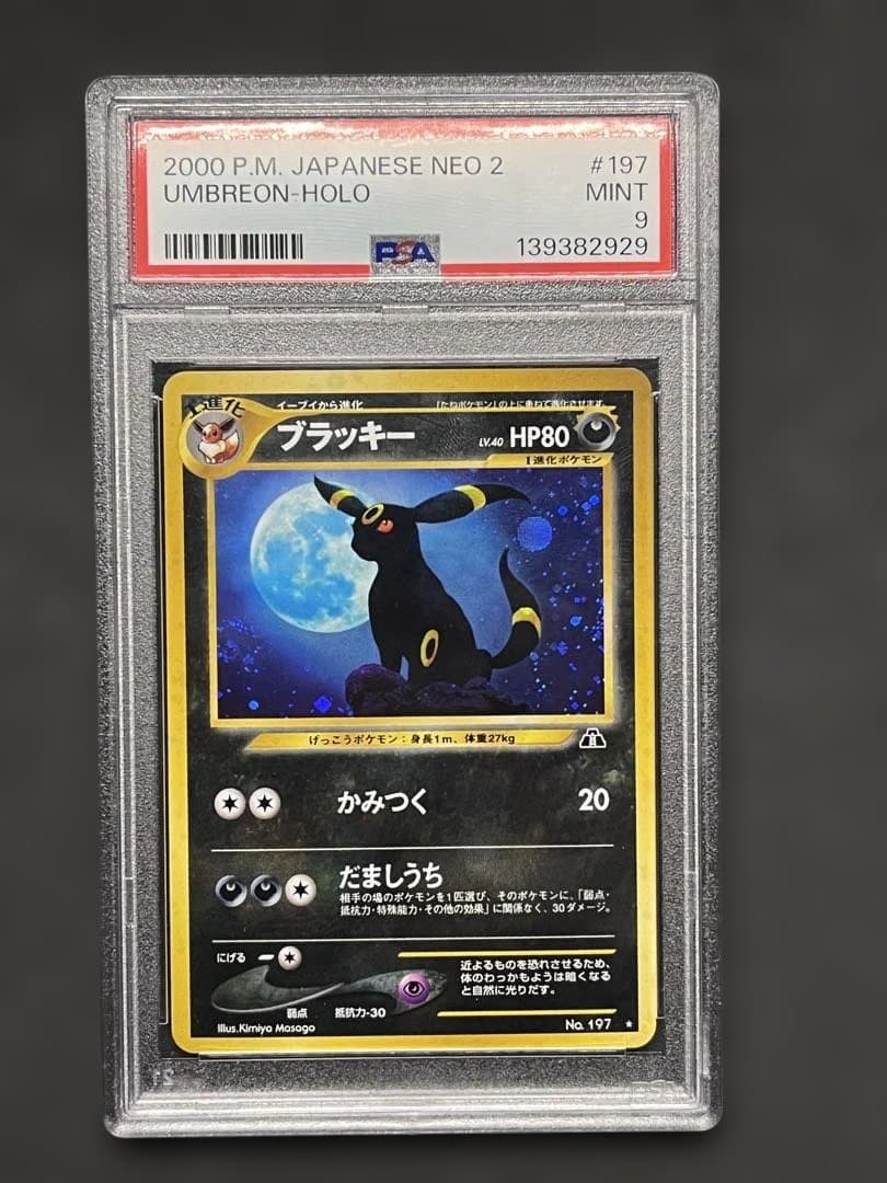 旧裏　ブラッキー　PSA9 遺跡をこえて