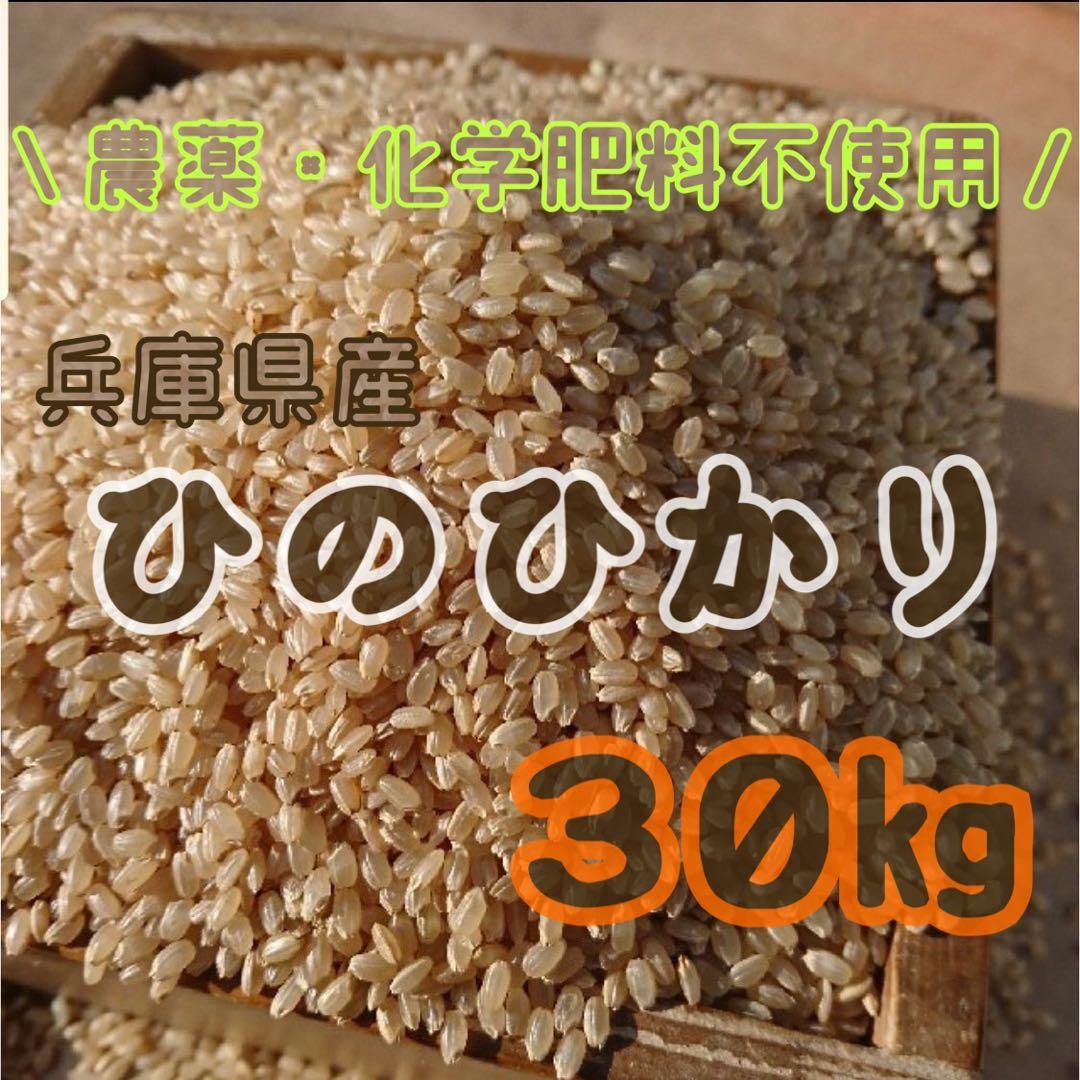 令和７年度収穫　兵庫県産　ひのひかり　玄米　３０ｋｇ　農家直送