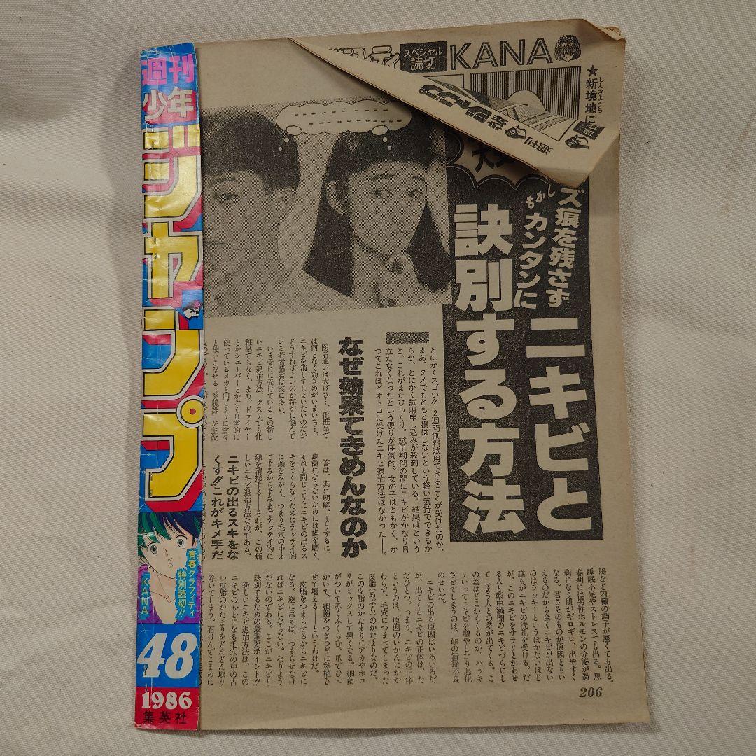 桂正和 直筆カラー色紙 おまけつき