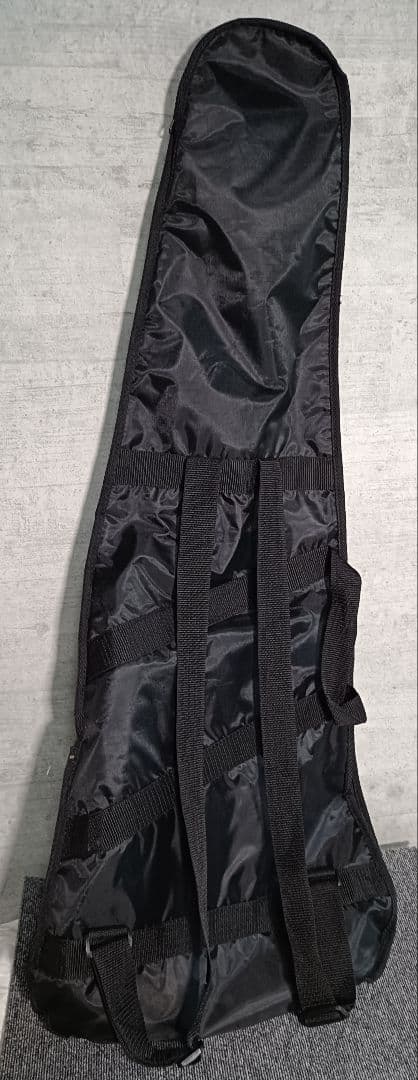 とっとこ走るハム太郎！ARIAプロⅡ、LEGENDギター美品！ケース付き