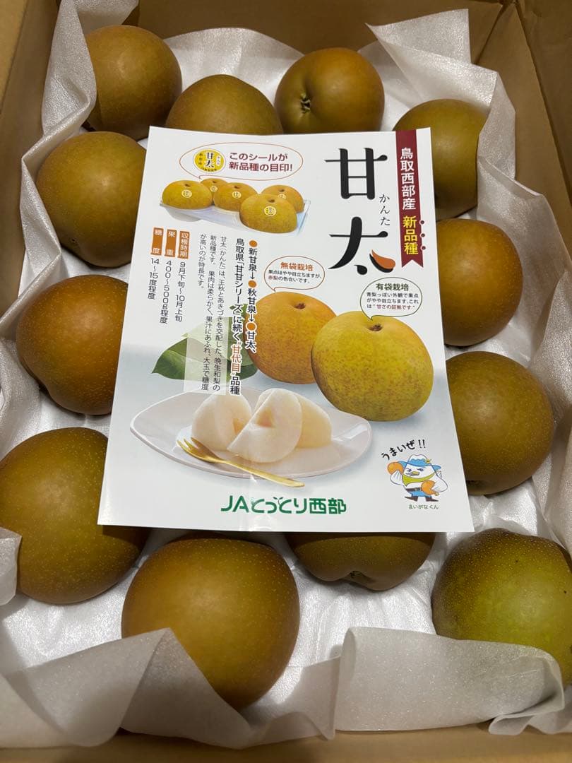 ふうか