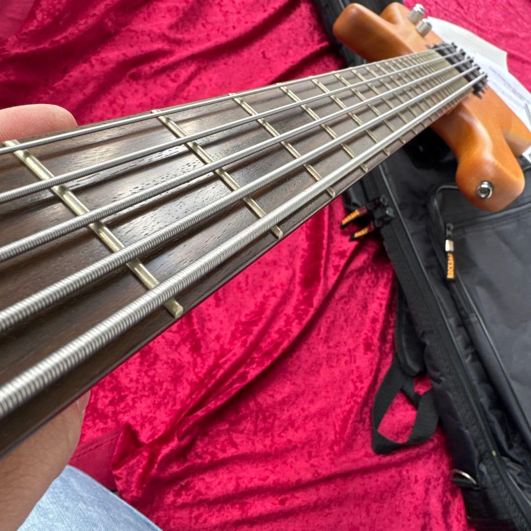 美品 メンテ済 Warwick Streamer Standard 5st
