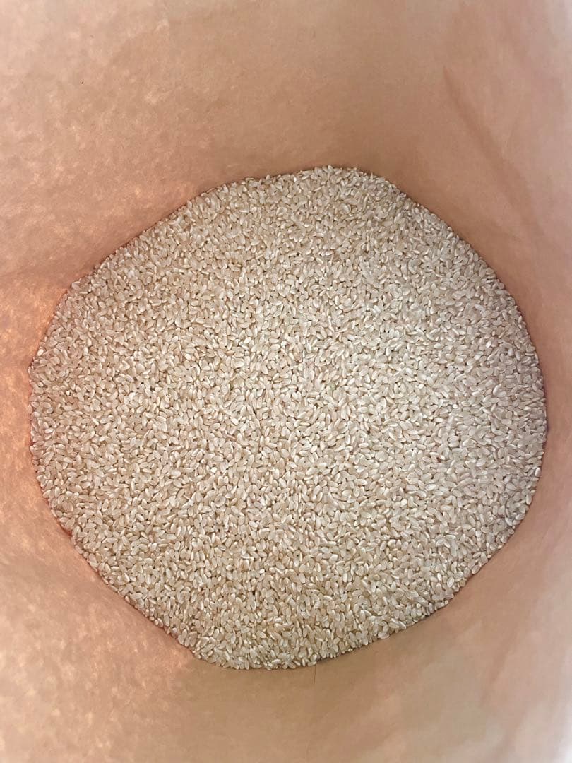 静岡県産　きぬむすめ　玄米　30kg