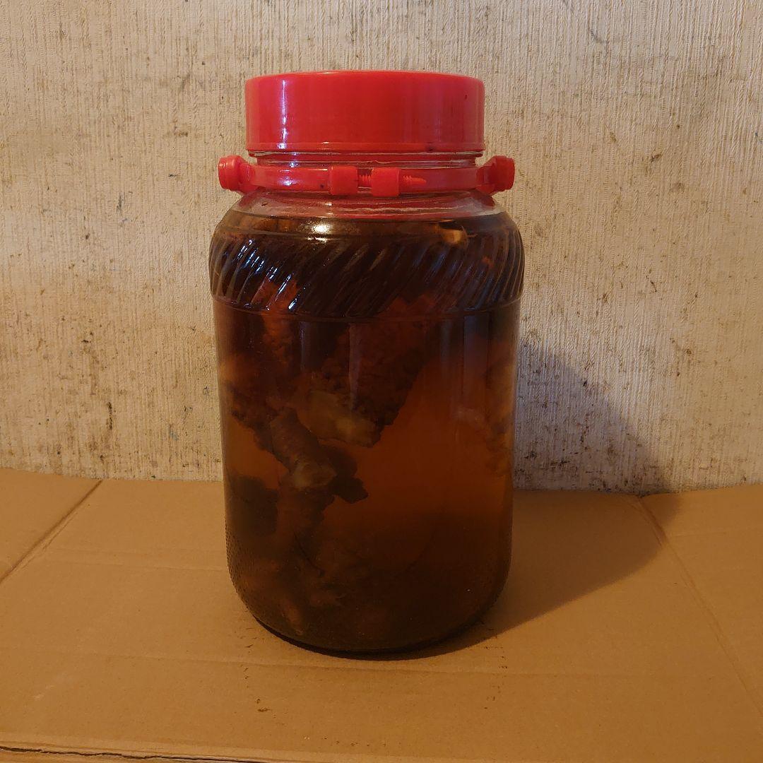 奈良県吉野山系吉野で採取りした天然物ツルニンジン酒5Ｌ入り ツルニンジン酒