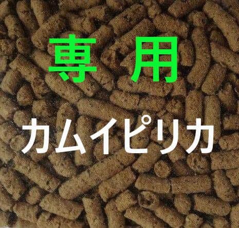 Yossy カムイピリカ9kg（3kg×3袋）