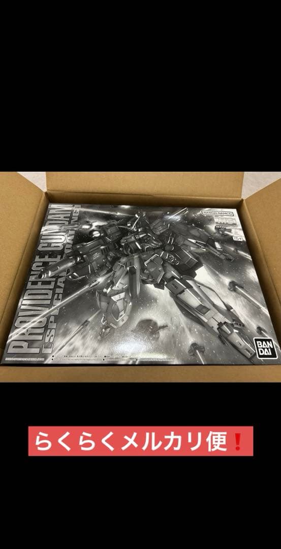 ち*郎様 新品未組立 MG プロヴィデンスガンダム スペシャルコーティング 1/