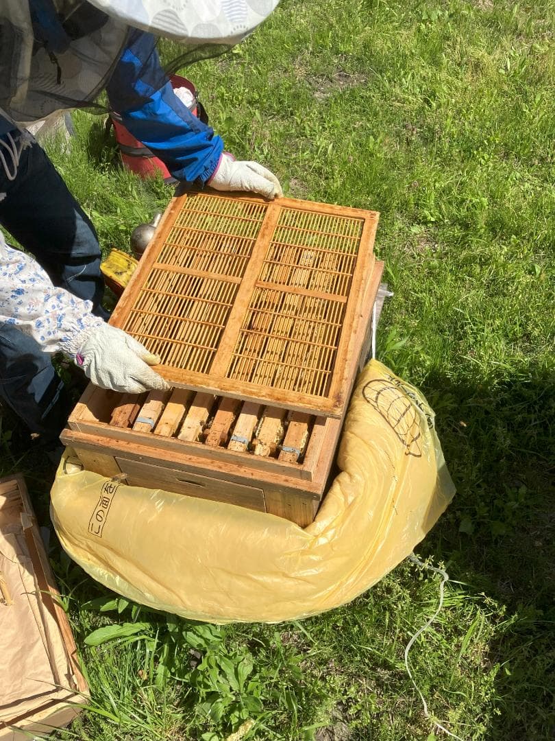 【Nissui様】 百花蜜 1000g 6本 長野県産 国産蜂蜜 はちみつ