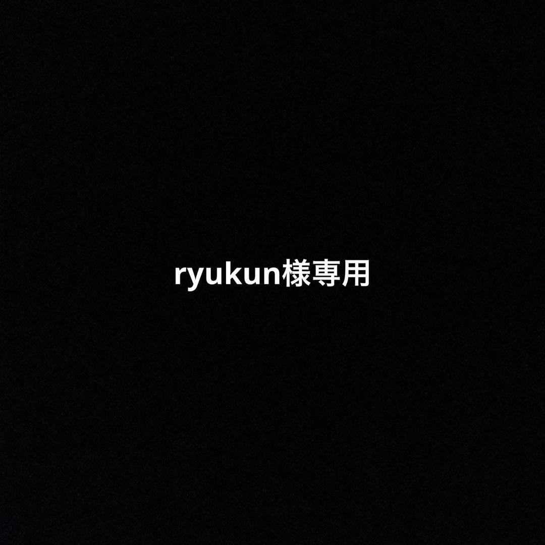 ルアー・フライ ryukun