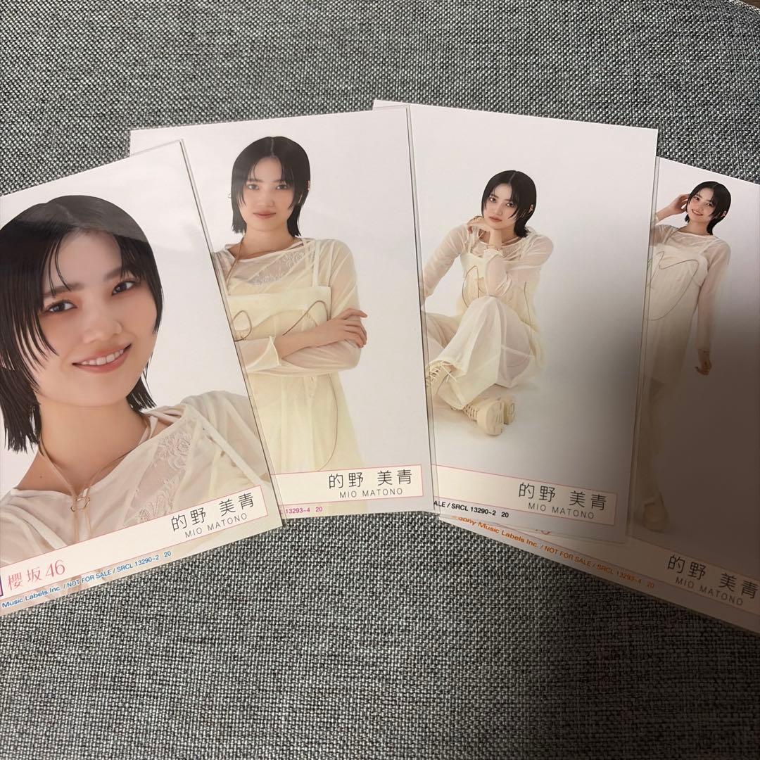 櫻坂46 的野美青 Addiction 封入