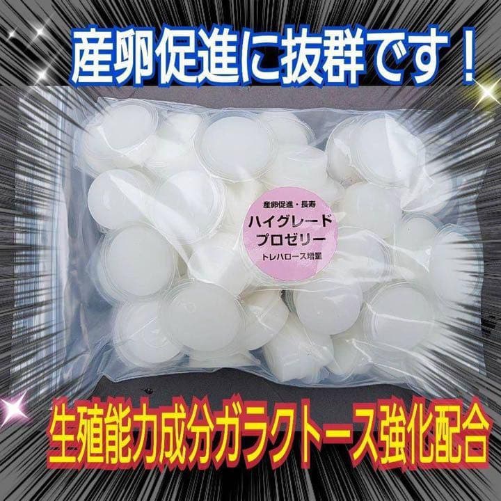 特選ハイグレードプロゼリー500個　産卵促進・長寿に抜群！食べやすいワイドカップ
