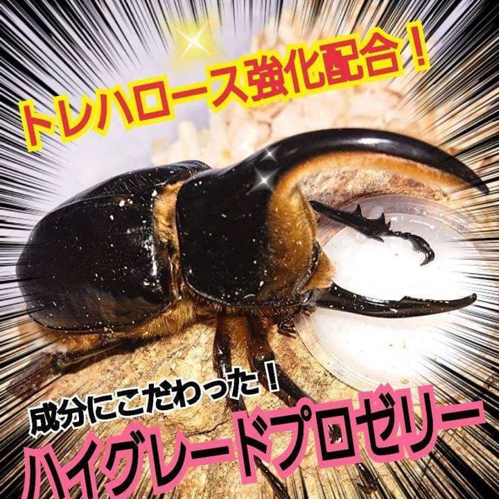 特選ハイグレードプロゼリー500個　産卵促進・長寿に抜群！食べやすいワイドカップ