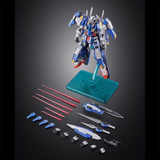 HG ユニオンフラッグカスタムII & RG アヴァランチエクシア