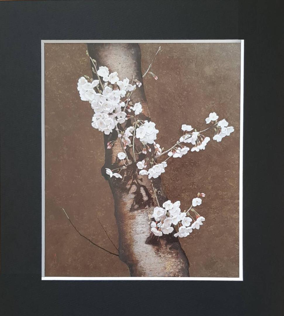 河合美江、「桜花」、希少画集の額装画、四季、風景、人気作品
