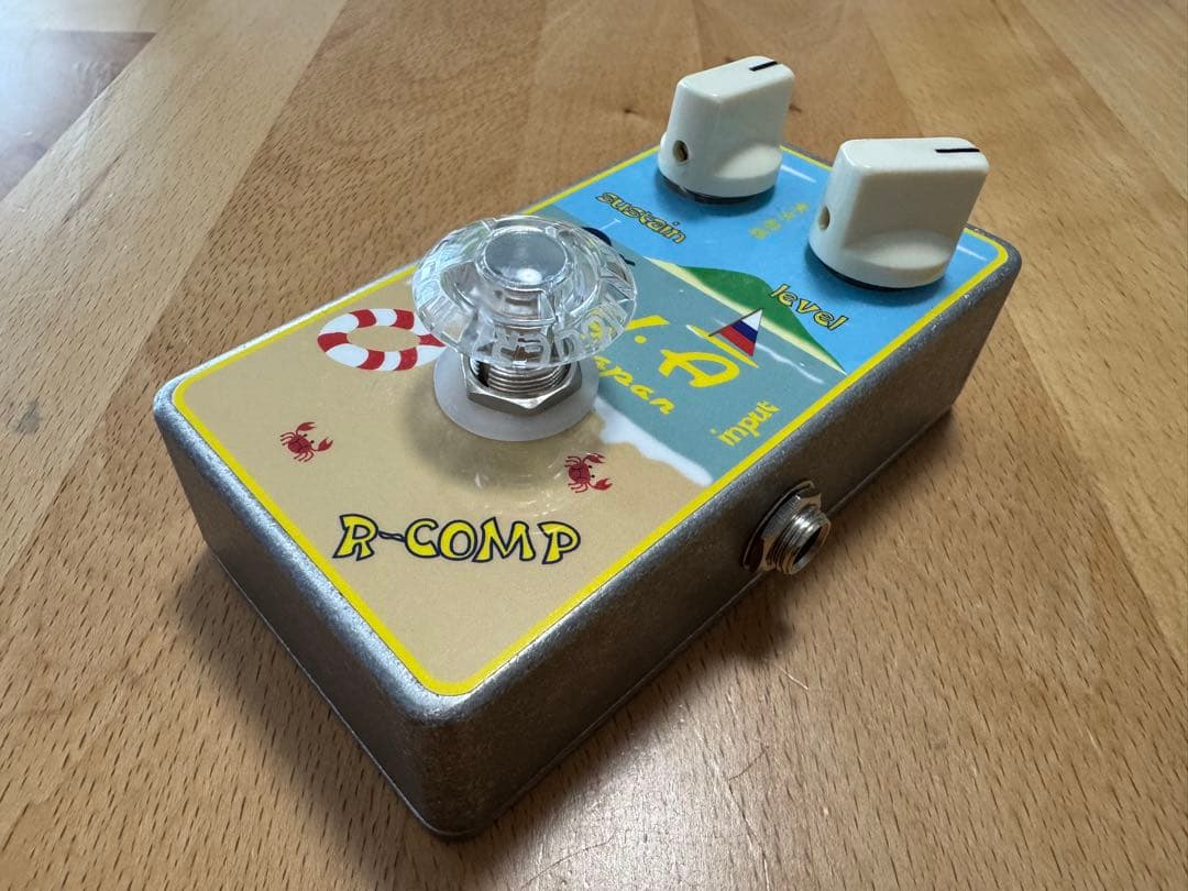 【美品】A.Y.A Tokyo R-Comp 2025年3月購入品