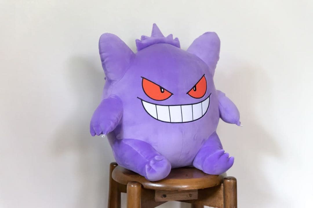 【ルーキー】