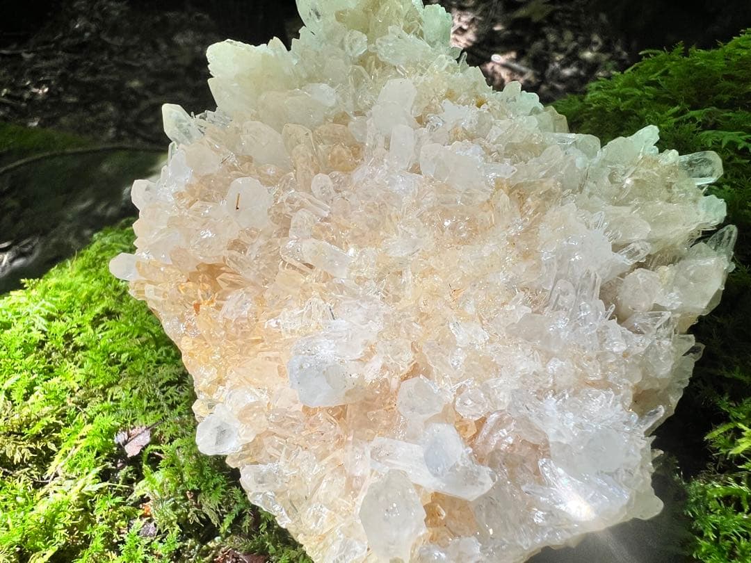 龍脈の精髄 クラスター 導きを結ぶ調和の結晶 売上一部保護猫活動に使用