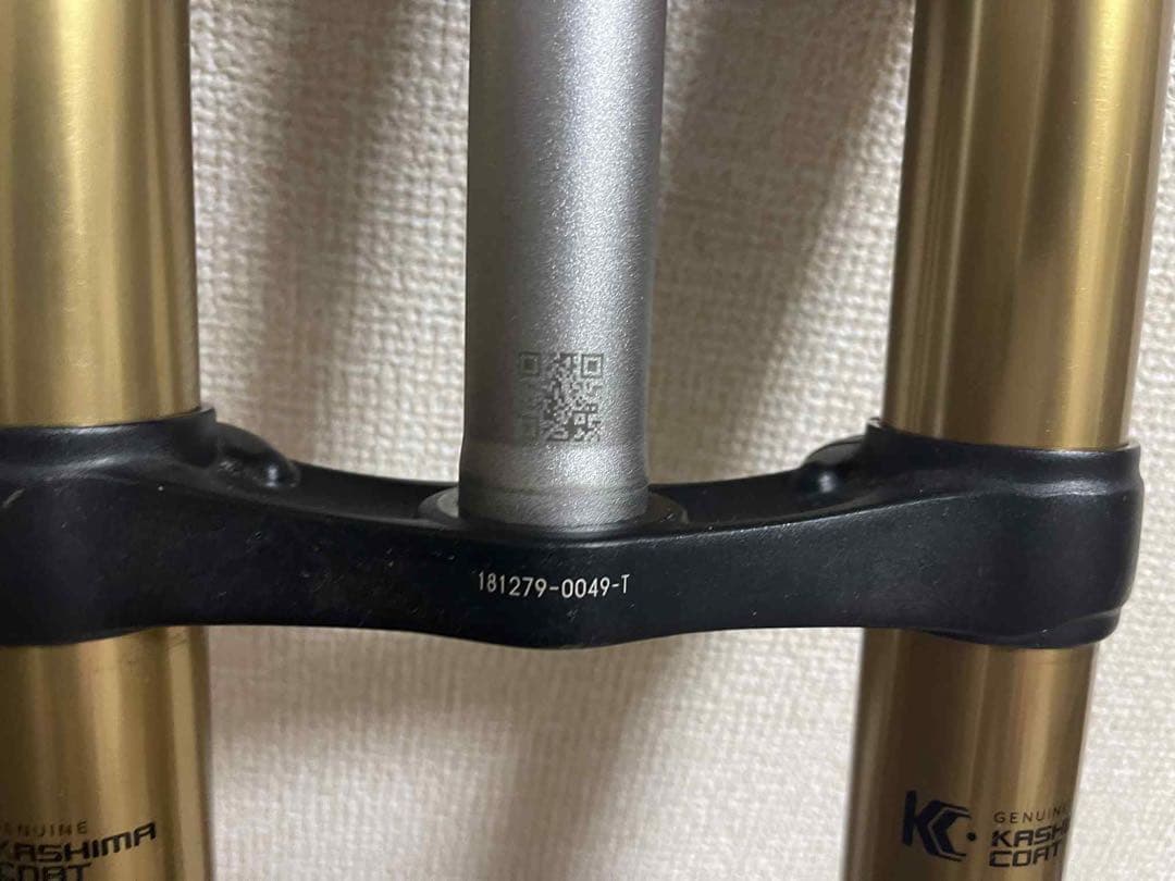 2019 ファクトリーシリーズ 40 フロート 29 203MM グリップ 2