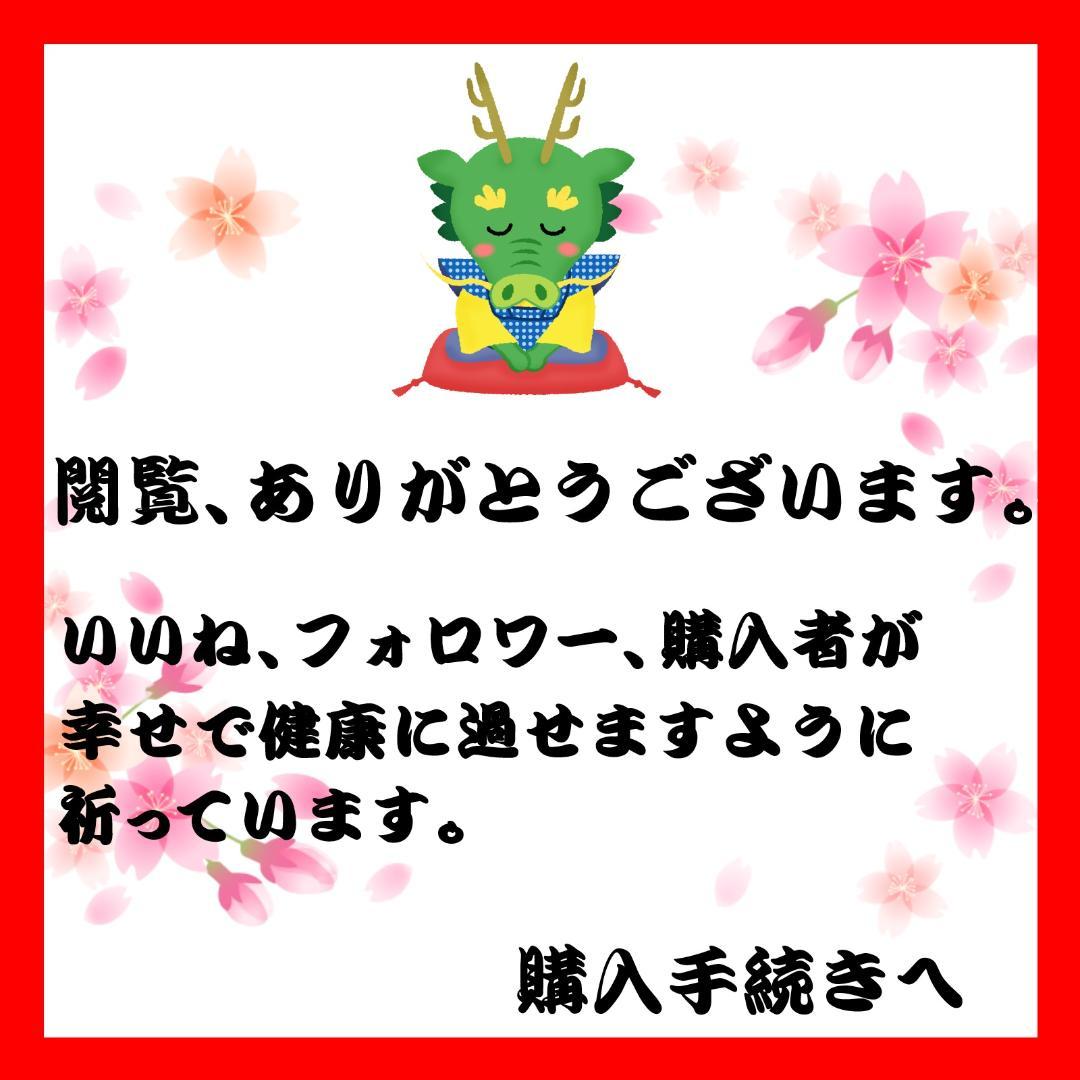ポケモンセンター フィギュア ソルガレオ ルナアーラ 銅ポケリーフ メダリオン
