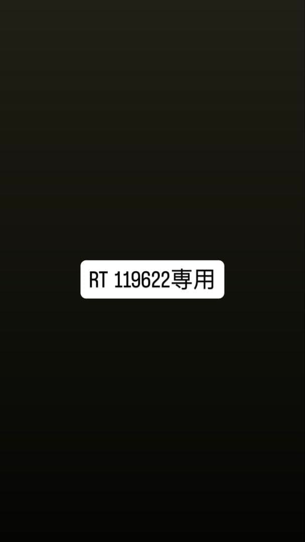 バドジャンク品 D p 4ug5 デュZスト3ug5