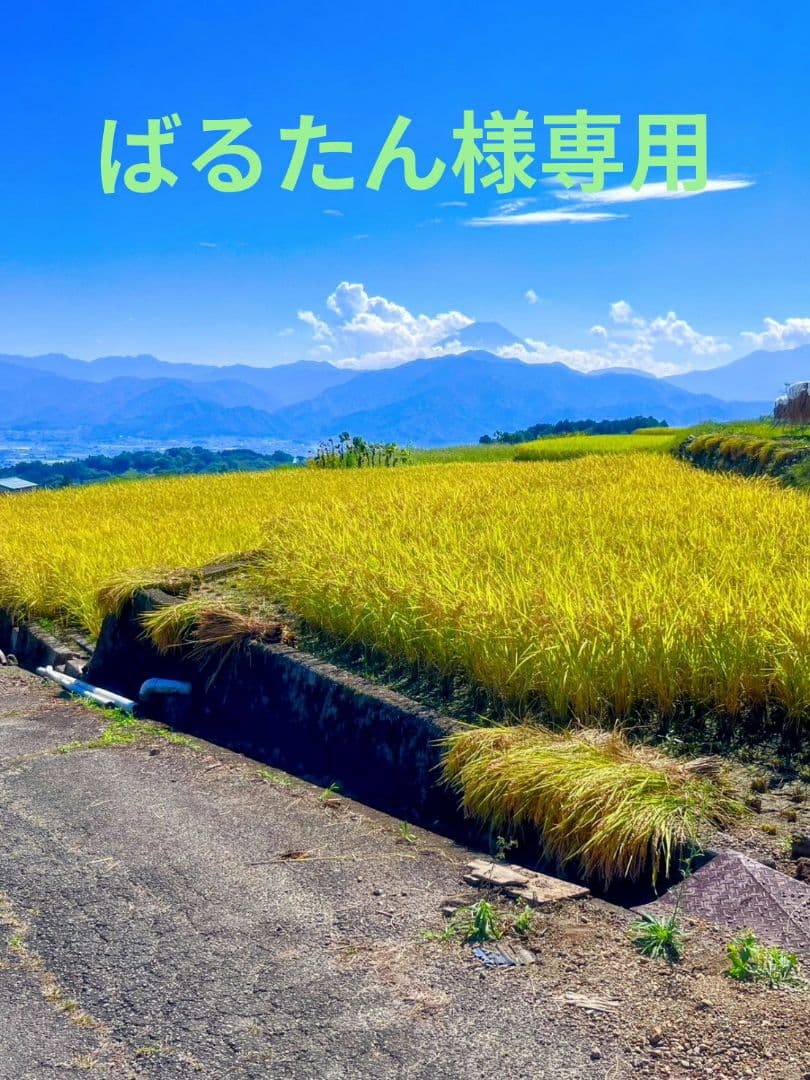 ばるたん