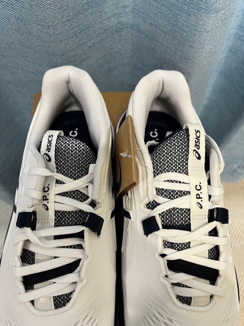 ASICS A.P.C. コラボ GEL-RESILUTION X 27.0cm