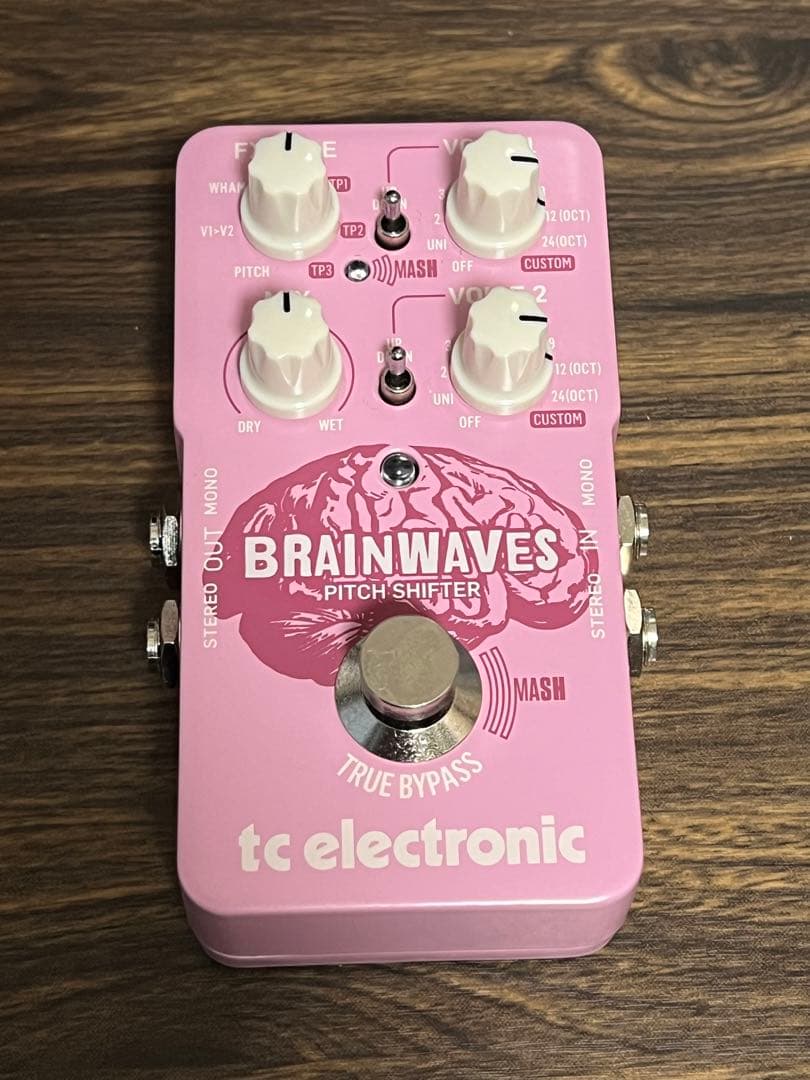 即発送　brainwaves pitchshifter 箱ケーブル付き