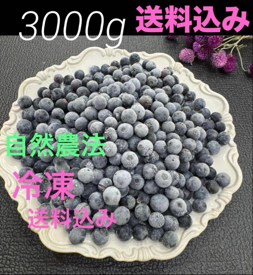 ハニー農園　ブルーベリー　３キロ