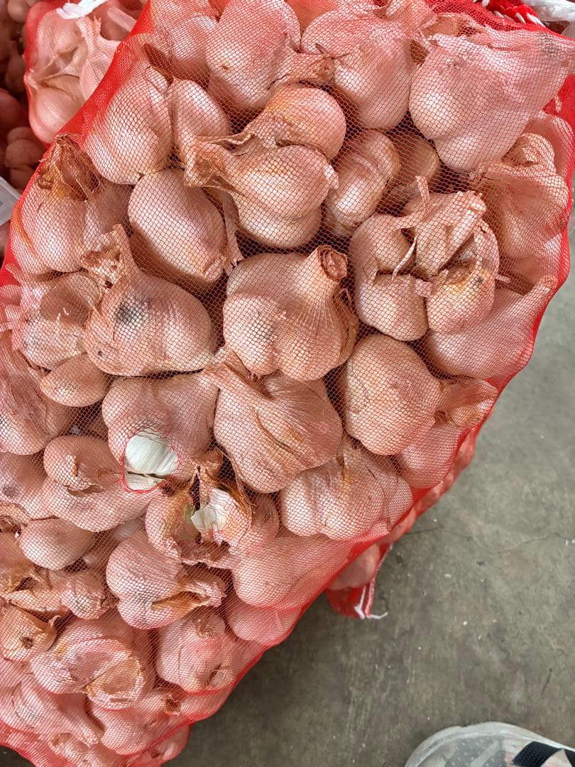 新物　青森県にんにく10Kg 大