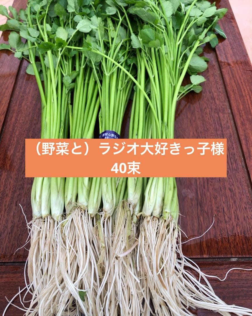 せり　40束