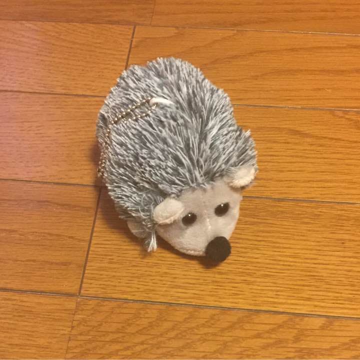 ハリネズミ