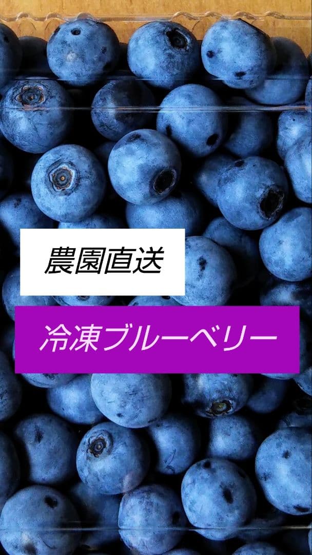 《訳あり》冷凍ブルーベリー３Kg　お買い得！！