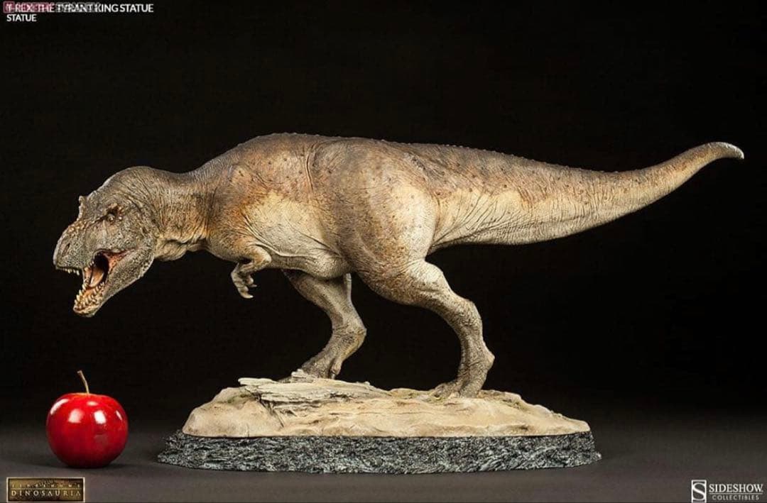 サイドショウ　ダイナソーリア　ティラノサウルス　T-REX