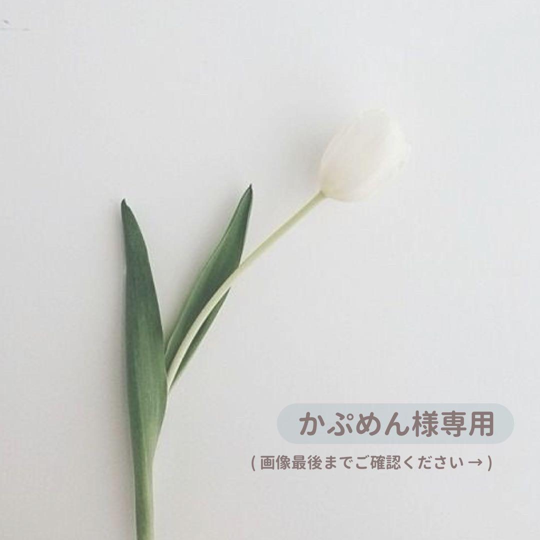 ♩ かぷめん出品