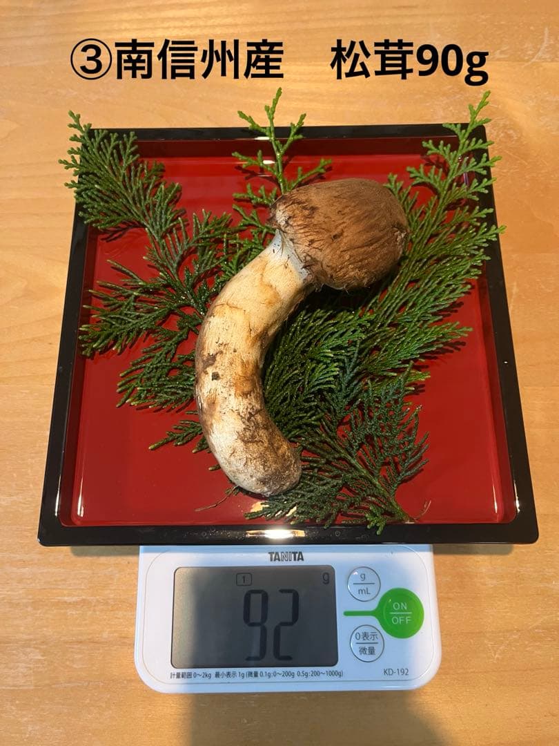 松茸90g（1本）長野県産松茸　南信州産松茸　国産松茸
