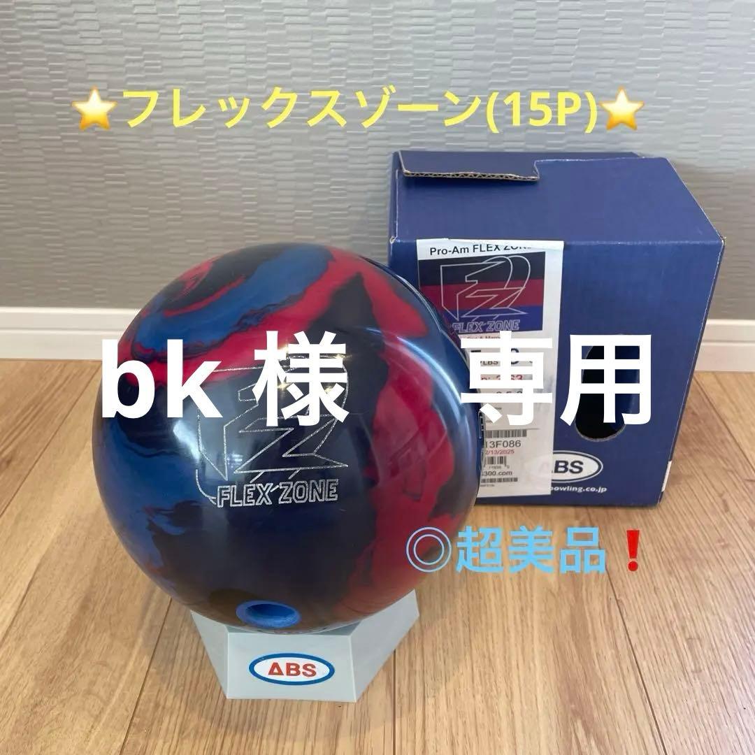 ⭐️フレックスゾーン(15P)⭐️美品‼️