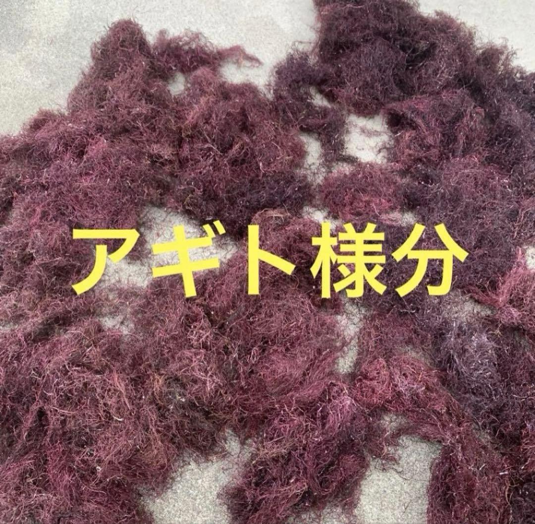 乾燥天草6キロ あぎと