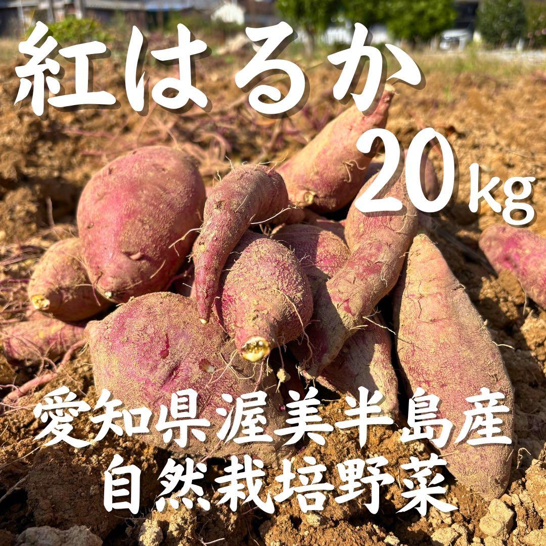 さつまいも『紅はるか』20kg ★無肥料・無農薬★