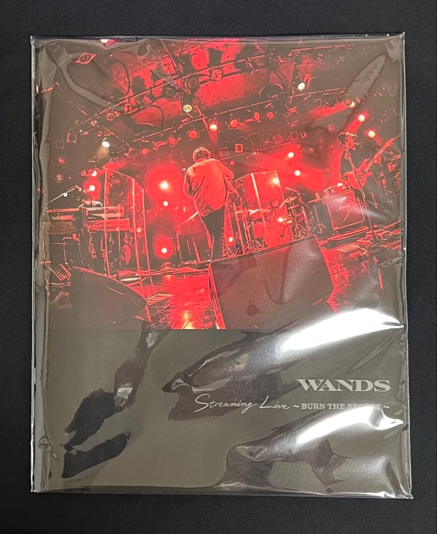 WANDS フォトブック