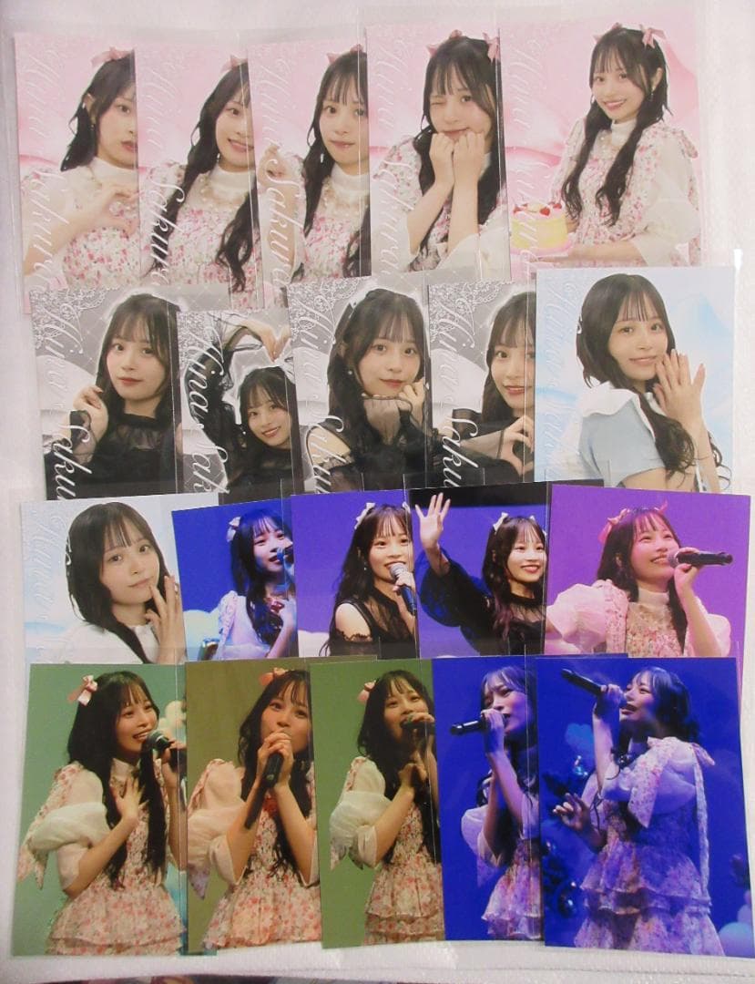 櫻井陽菜Birthday 2025 ラッフルくじ F賞20種セット ブロマイド