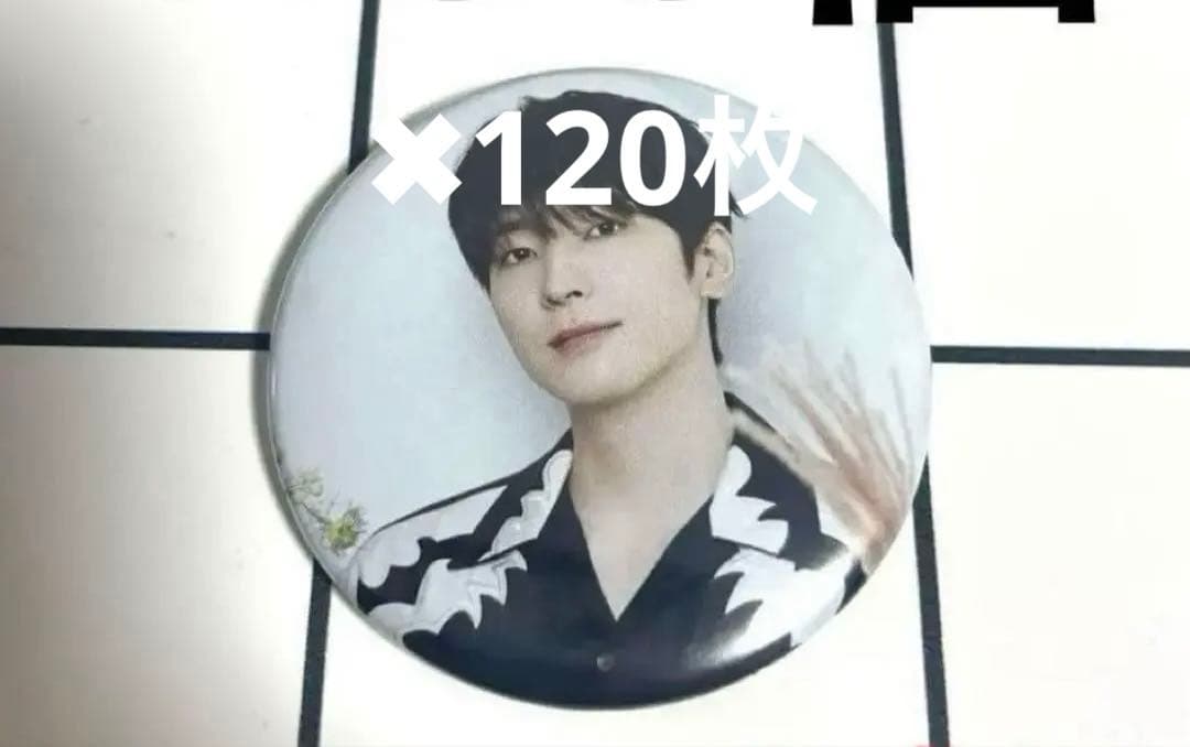 SEVENTEEN CAFE セブチカフェ 2024 缶バッジ ウォヌ30個
