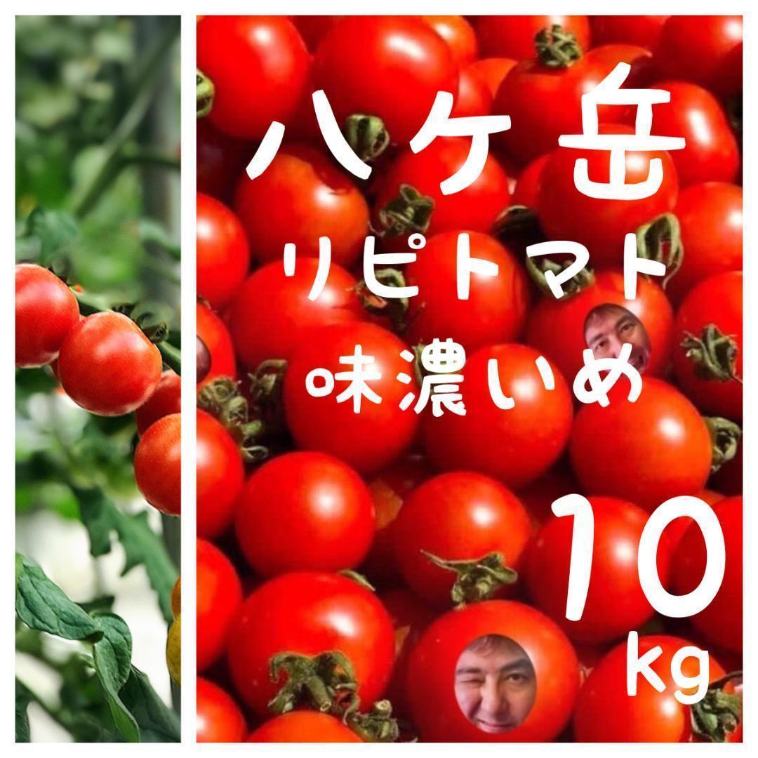 八ヶ岳産　行列ありがとまと 約10kg バラ 味が濃いめ　農薬肥料薄め
